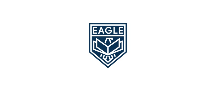 Eagle雏鹰项目